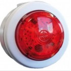 Cooper Fulleon 811016FULL-0010 Solista – Red Lens – White Body – Shallow Base